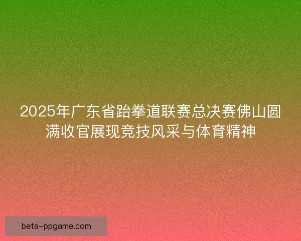2025年广东省跆拳道联赛总决赛佛山圆满收官展现竞技风采与体育精神